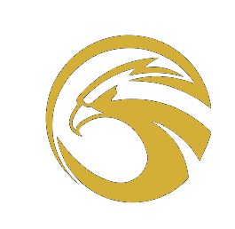 Black Eagle Logo